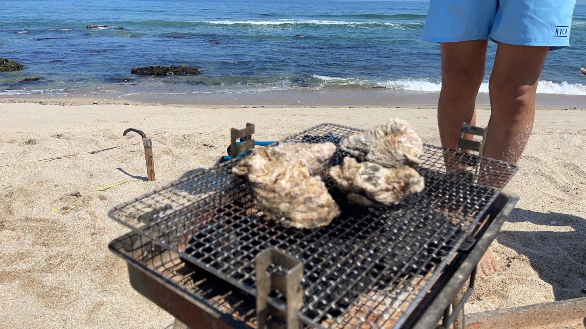 Elm On The Beach 北茨城市 エクステリア 写真